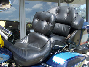 Bike Upholstered